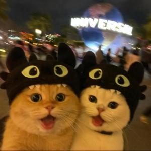 Barsik_MeowLxst