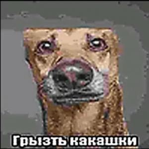 Gamer