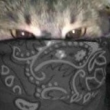 Сергей Сахаров