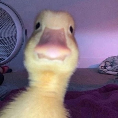 Макс Денисов