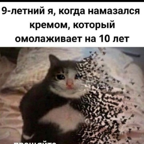 Максим Корнеев