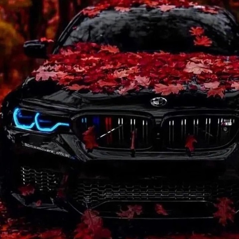 Саид Кайдаров