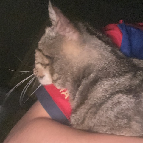 Артём Ледовских