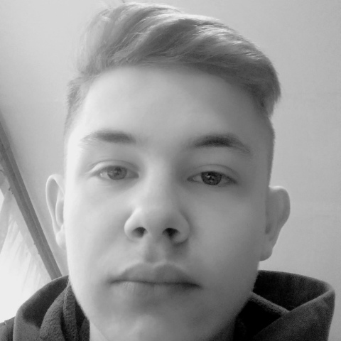 Денис Лавренов